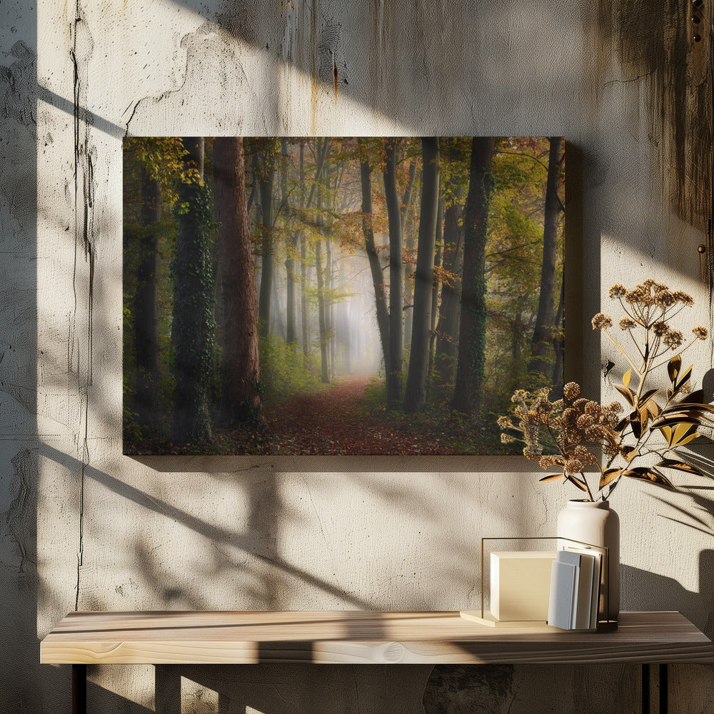 Herfst kleurrijk bos | Canvas