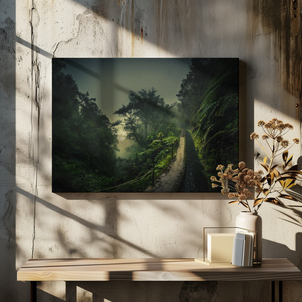 Levada-wandeling | Canvas