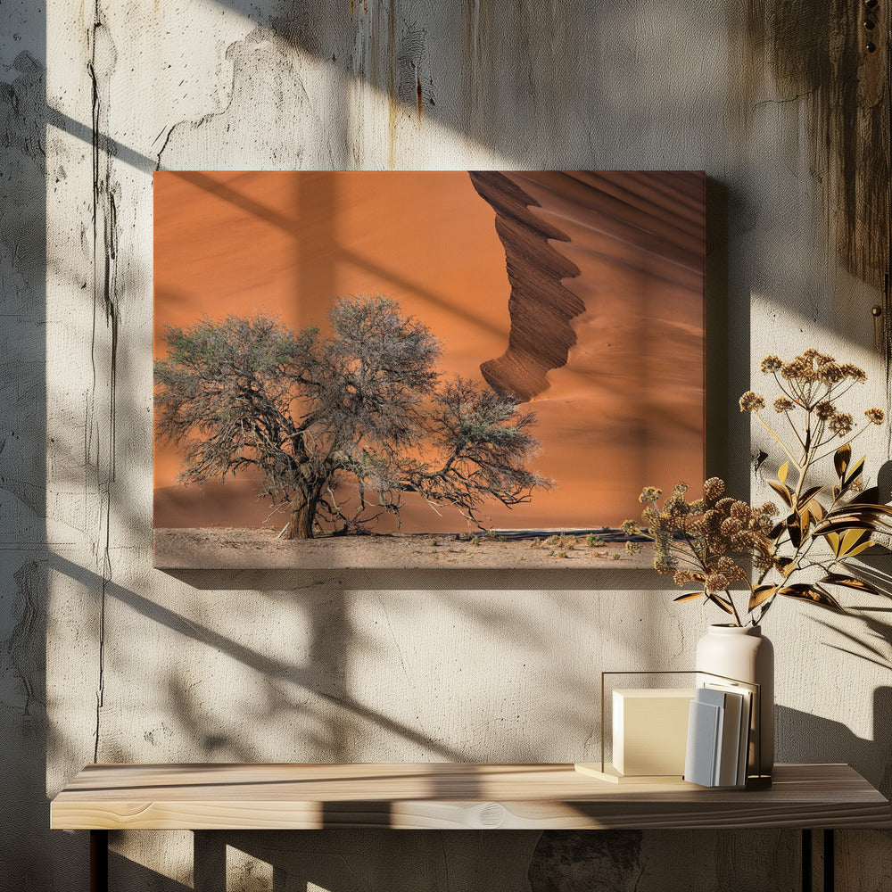 Acacia in de woestijn | Canvas