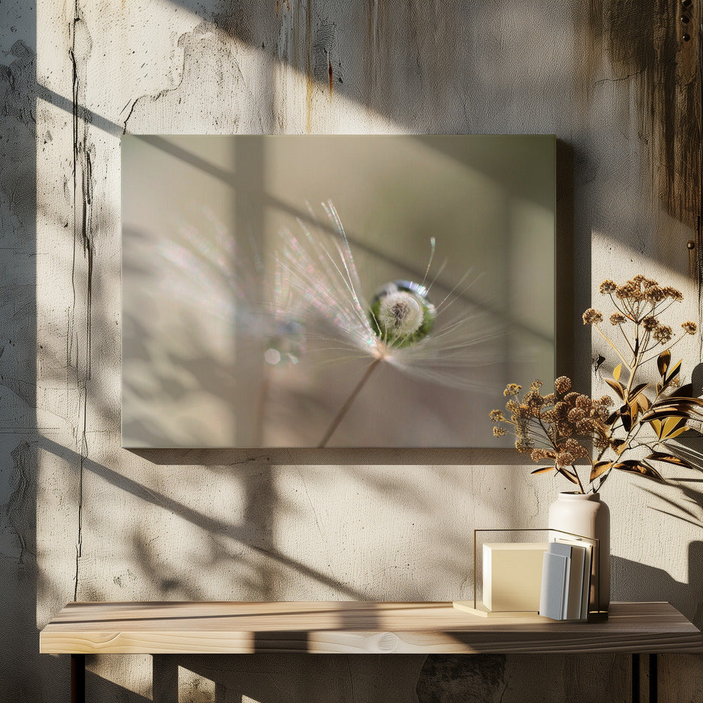 Ster van paardenbloem | Canvas