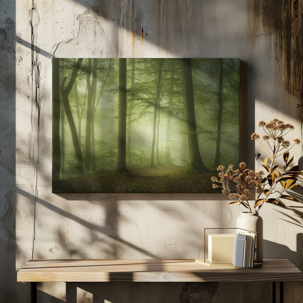 Mysterieuze lentemorgen | Canvas