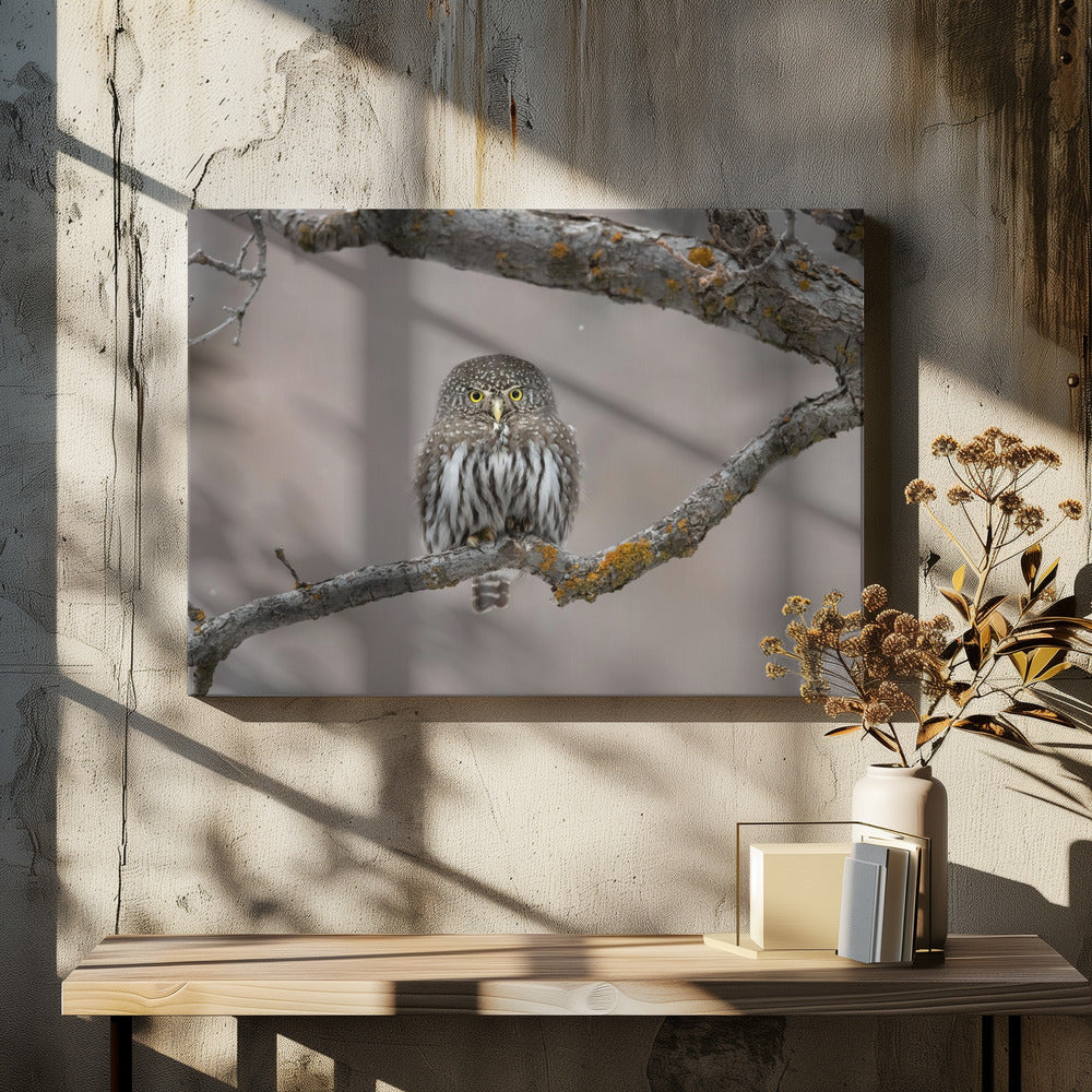Kleine man in de sneeuw | Canvas