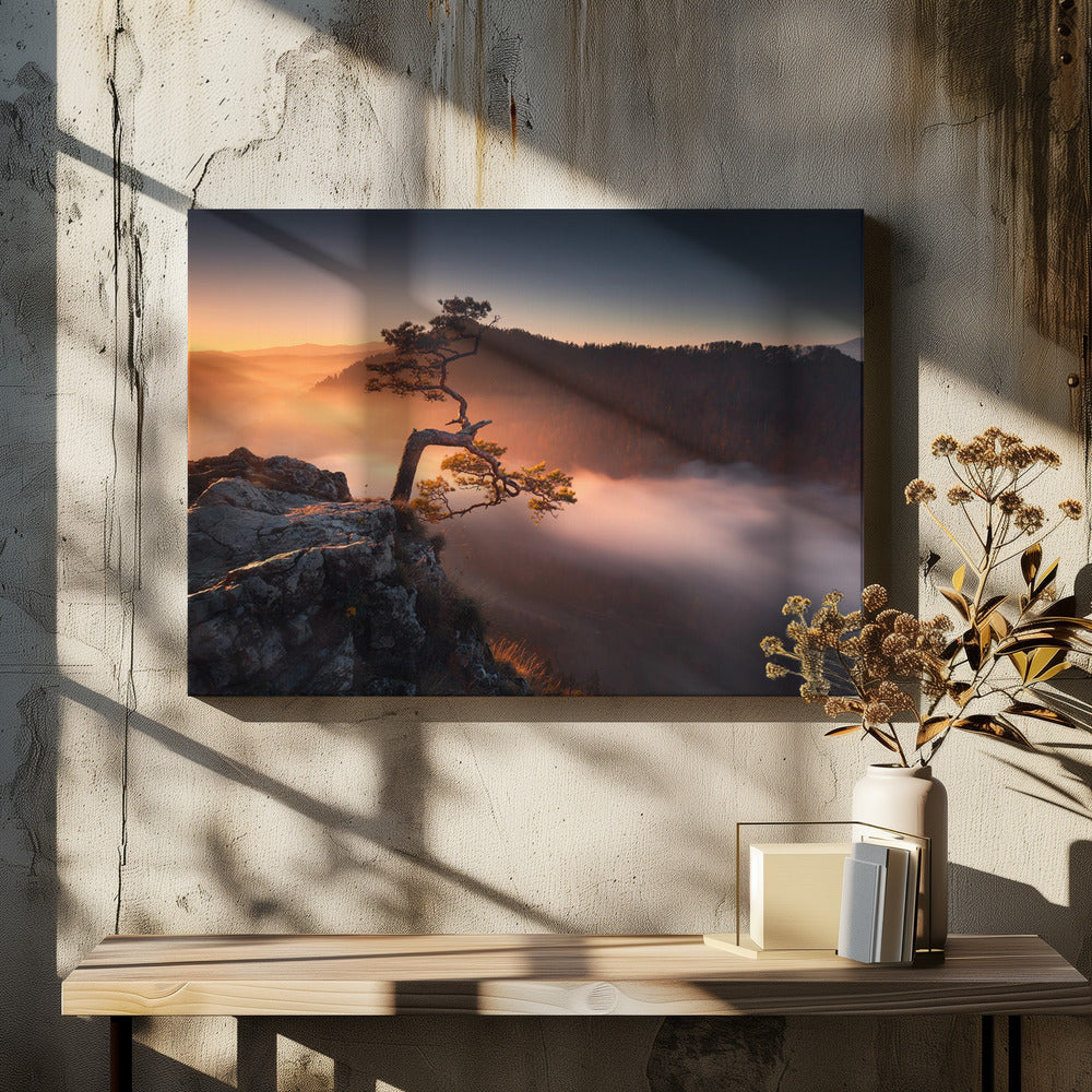 Sokolica | Canvas