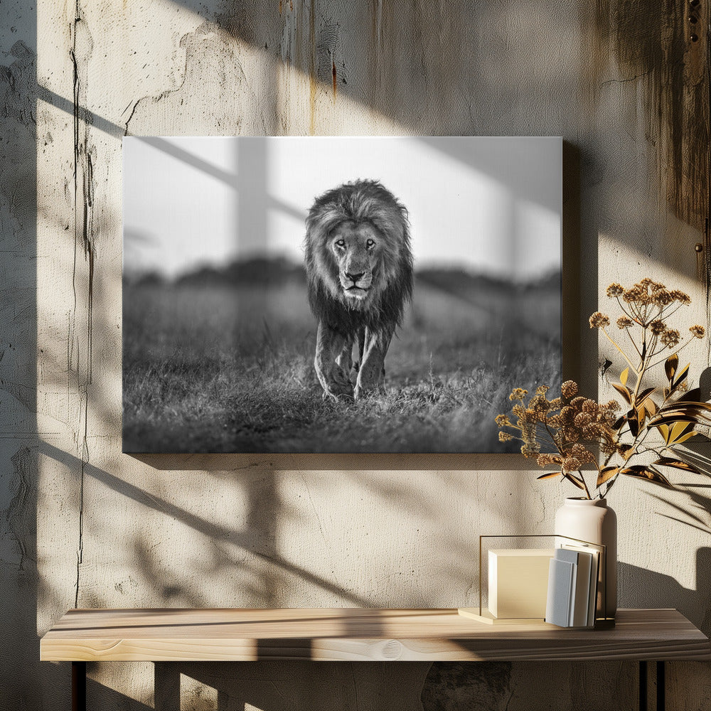 Oude jongen | Canvas