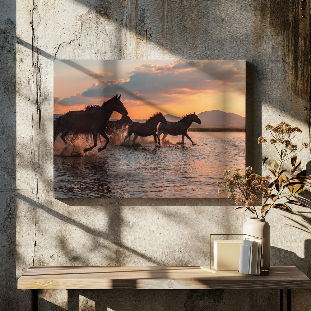 WATER HORSES | Canvas