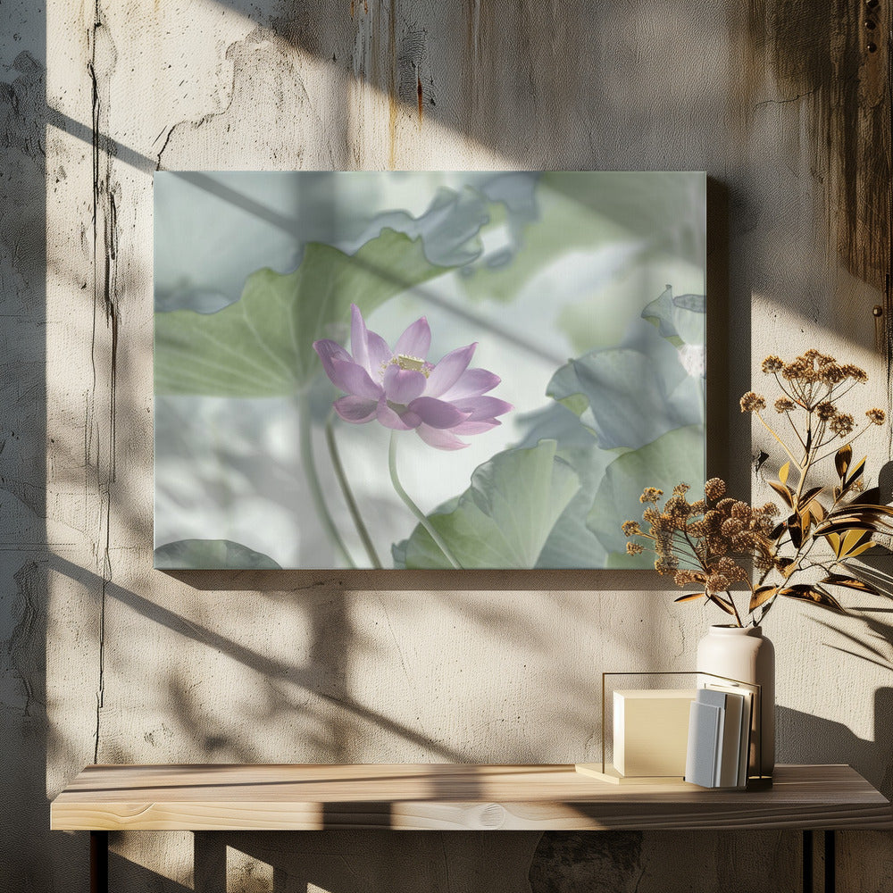 Lotus | Canvas