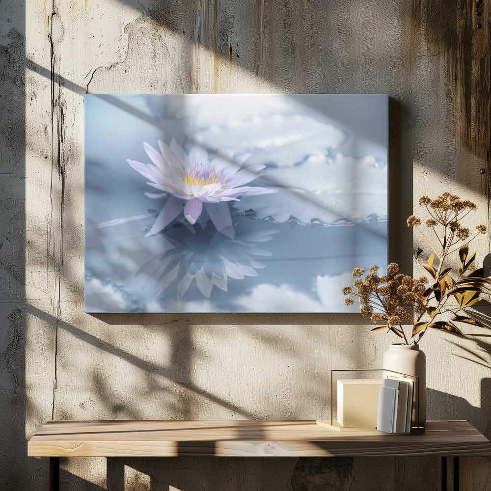 Reflection | Canvas