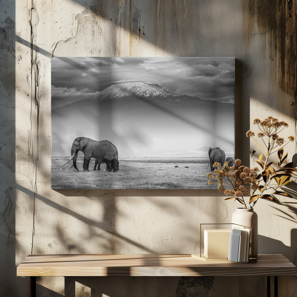 Het land van de reuzen | Canvas