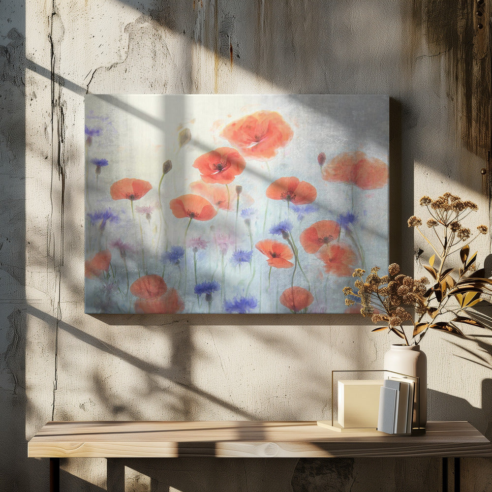 Klaproos | Canvas