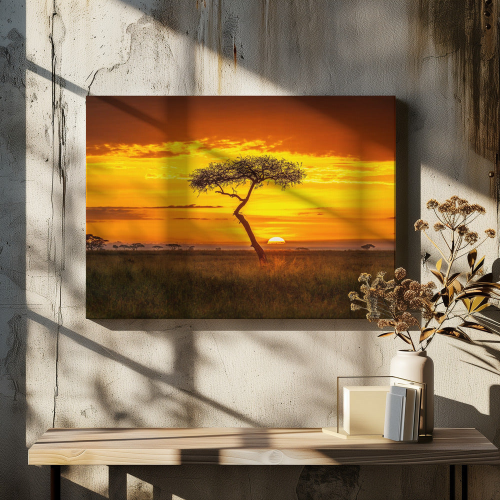Oer-Afrika | Canvas