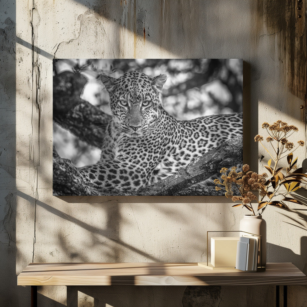 Monochrome schoonheid | Canvas