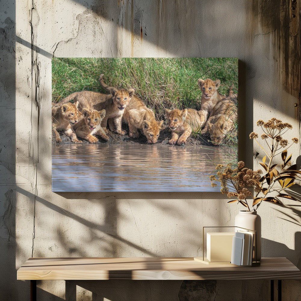 De band weer bij elkaar brengen... | Canvas