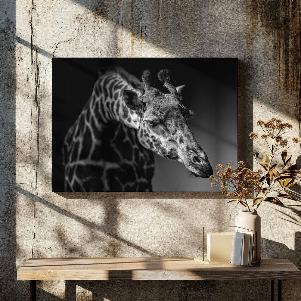 Giraffe | Canvas