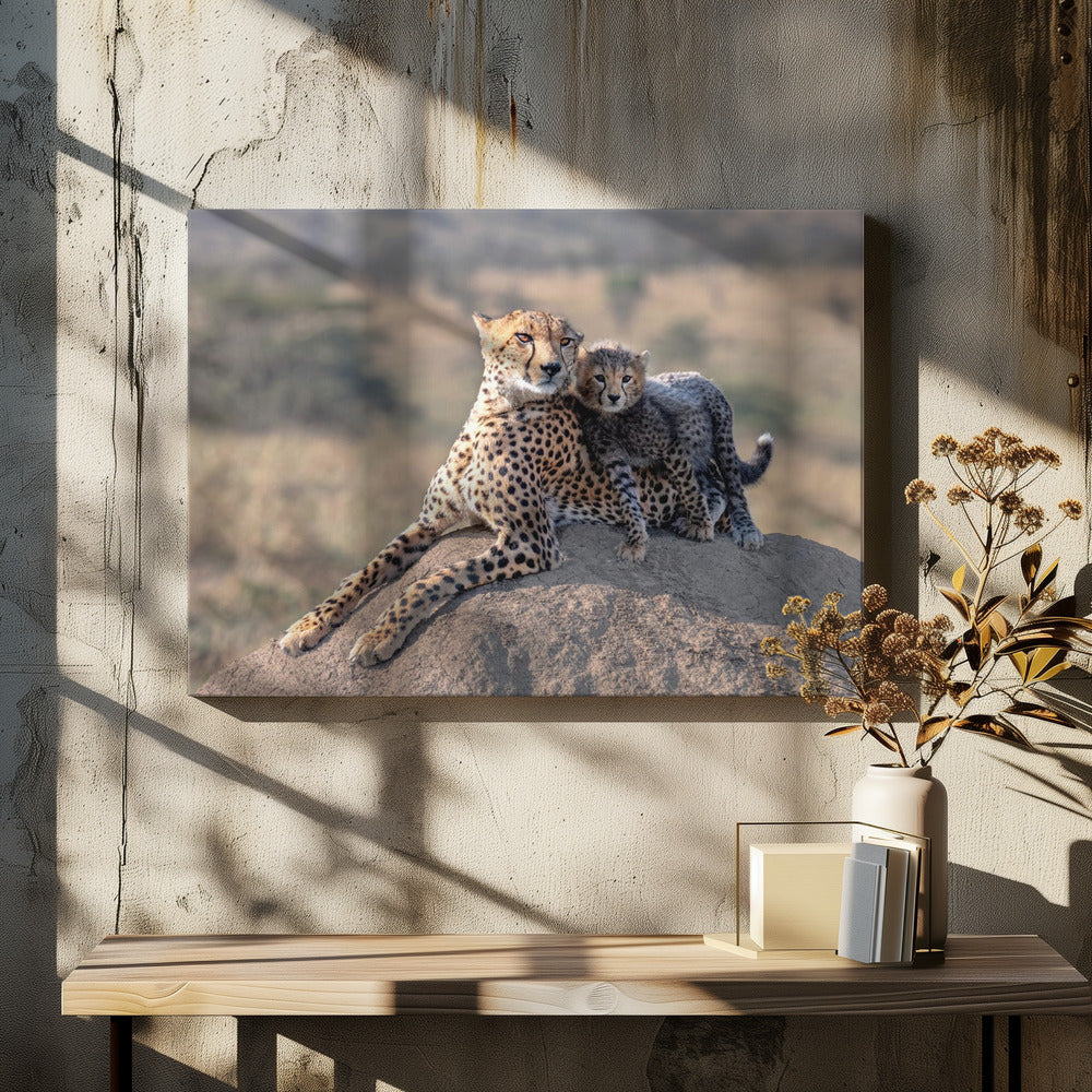 Cheetah and cup! | Canvas