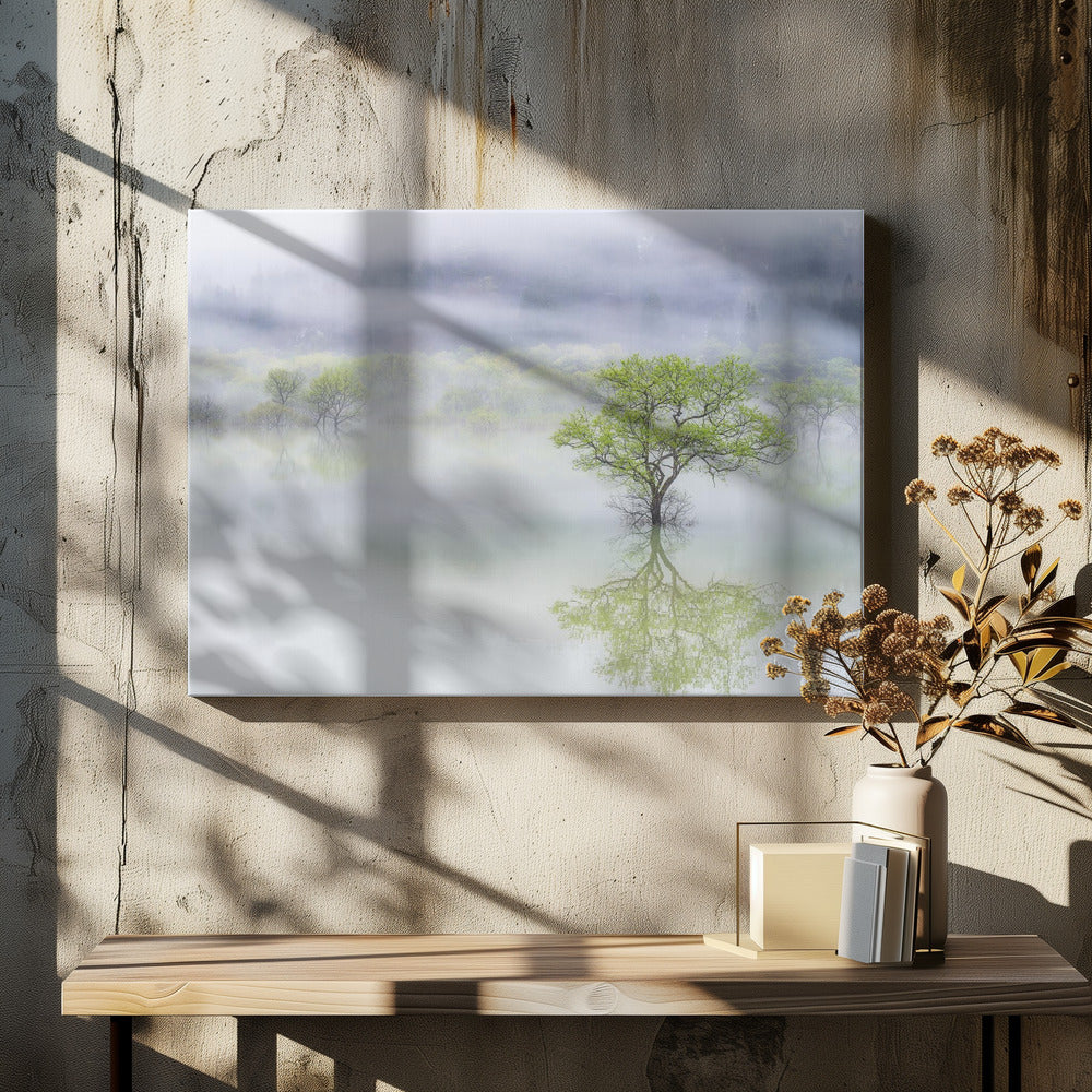 Dromerige boom | Canvas