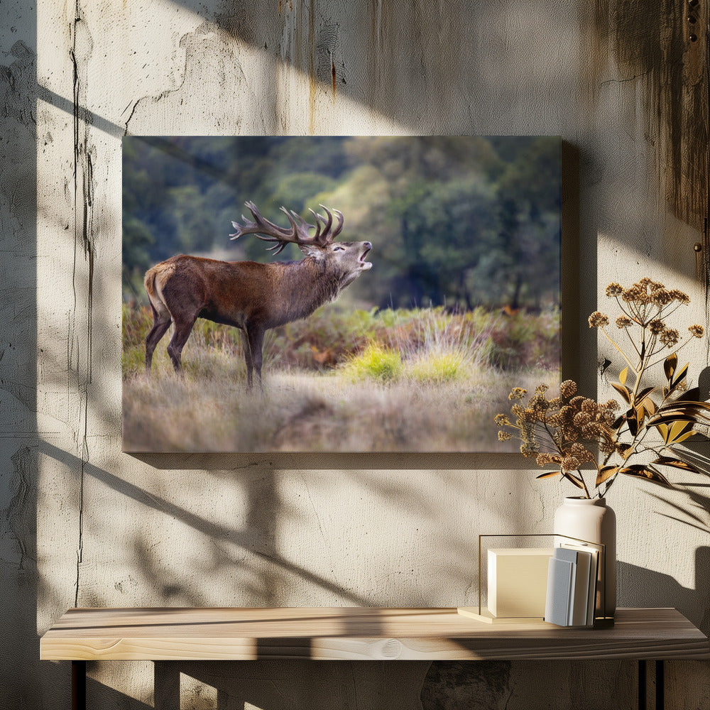 The scream of the deer | Canvas