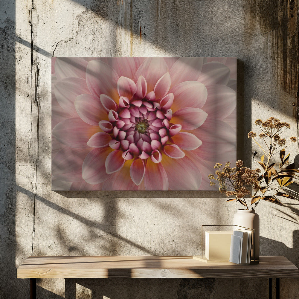 Blush | Canvas