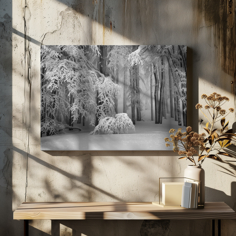 Perfecte winter | Canvas