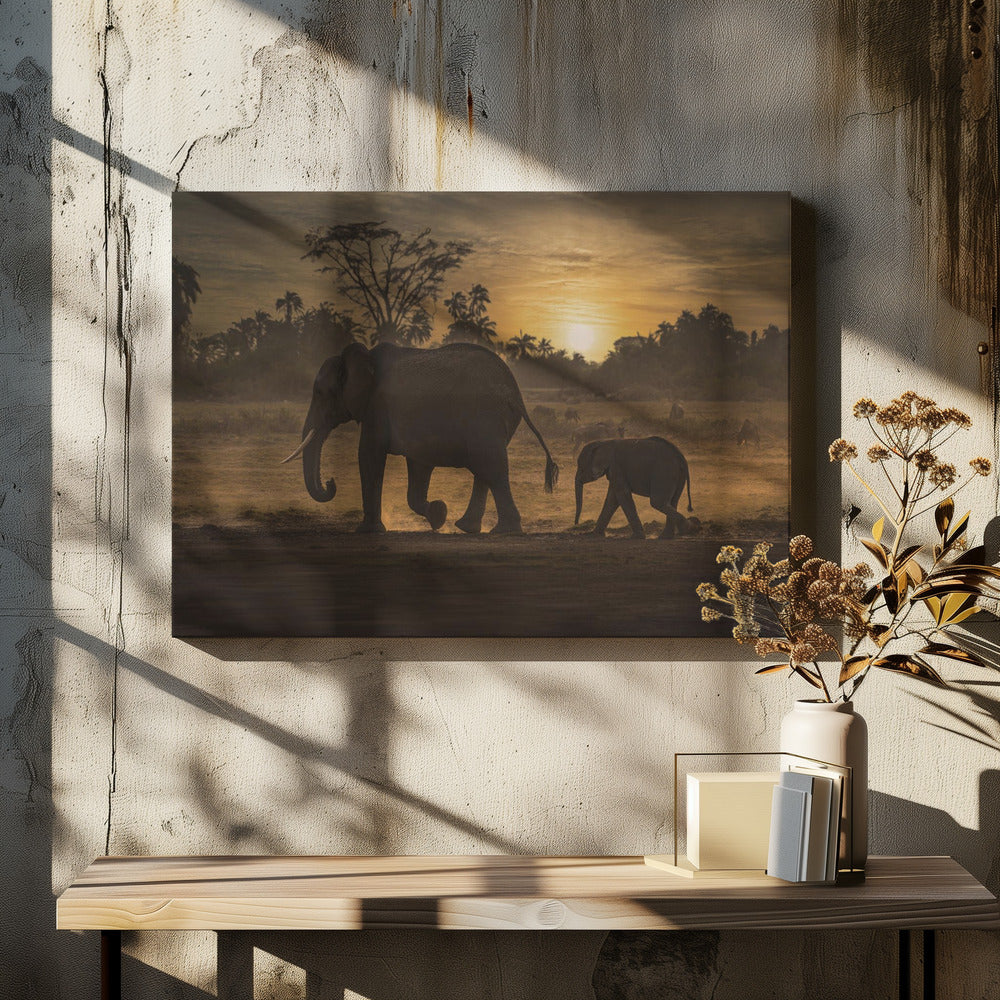 Follow me | Canvas