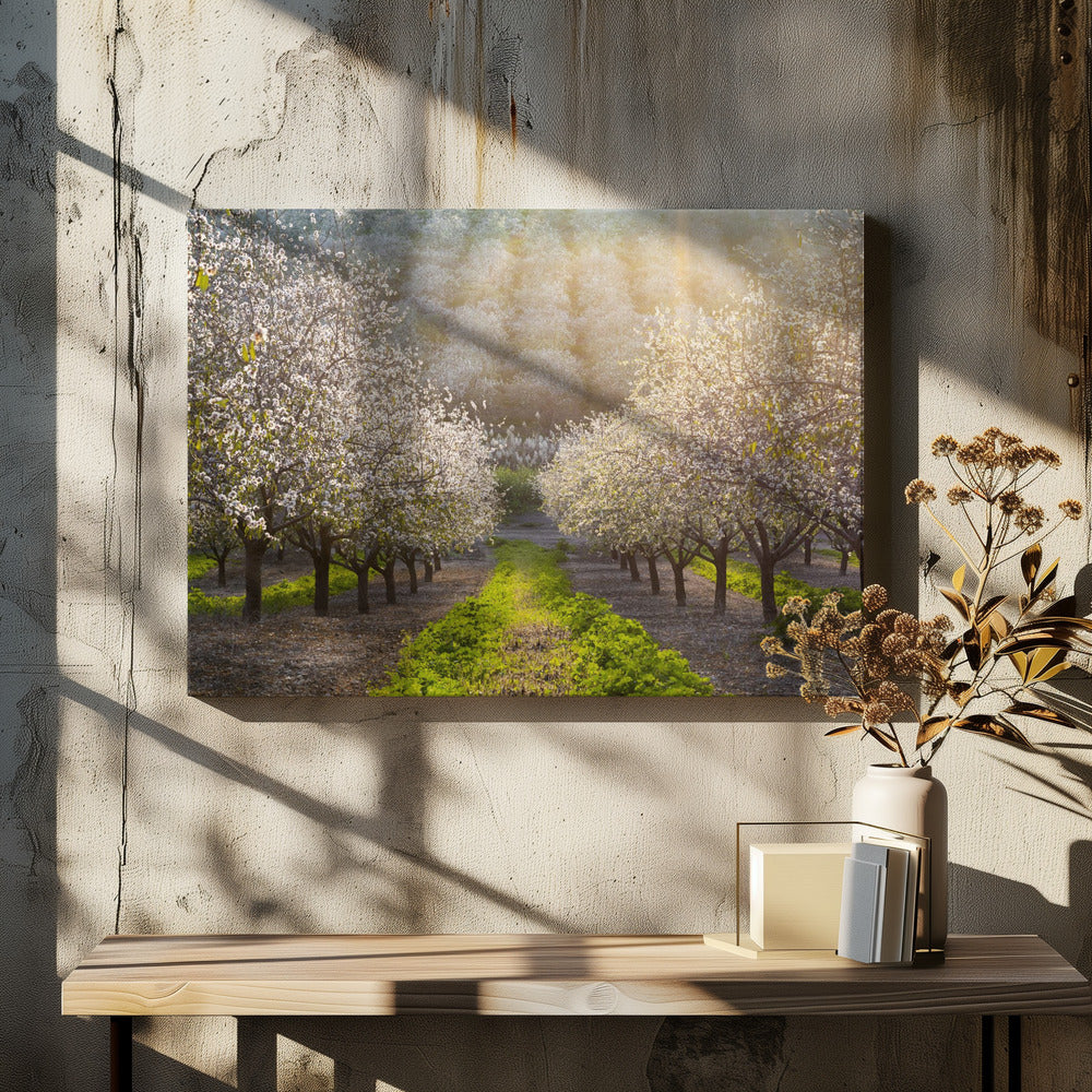 Gouden Amandelen | Canvas