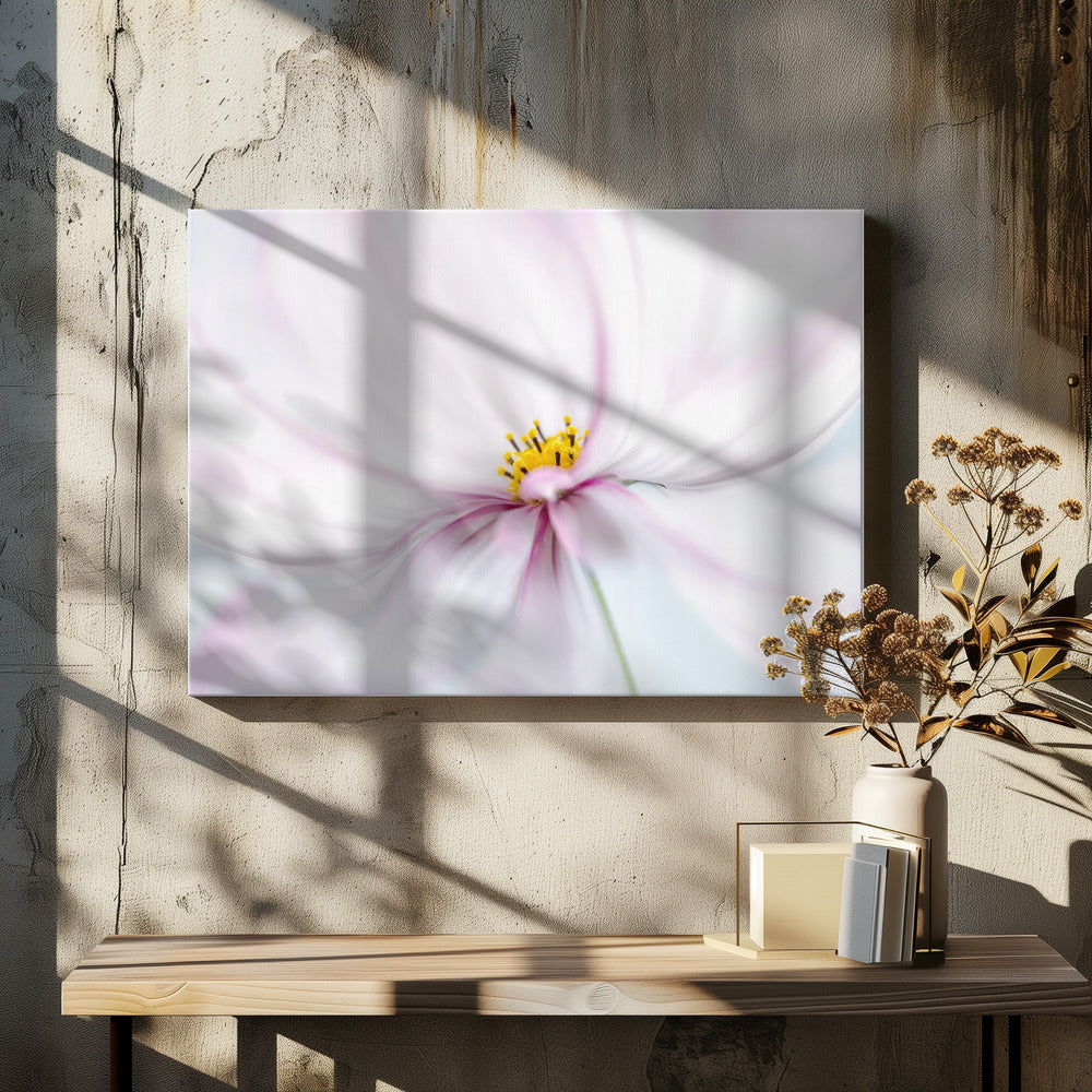 Kosmos | Canvas