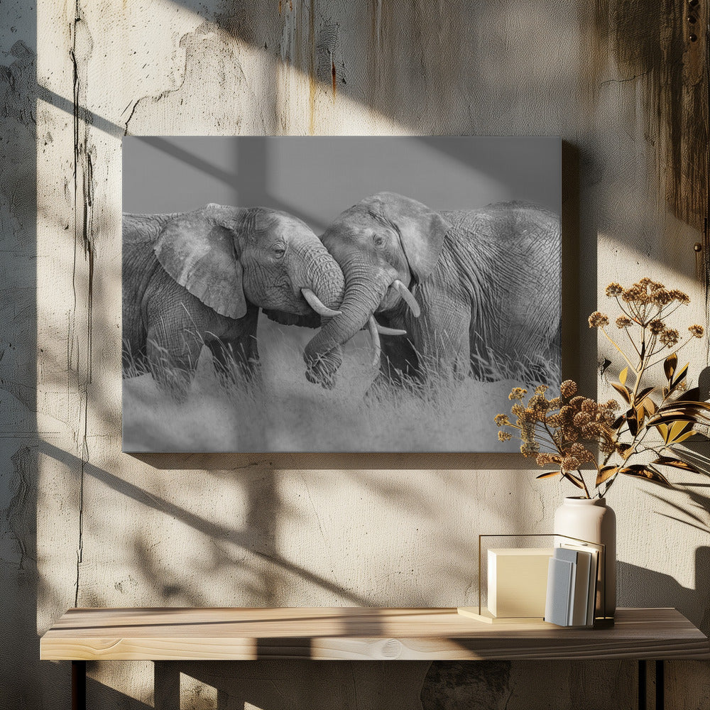 Elephant Flight | Canvas