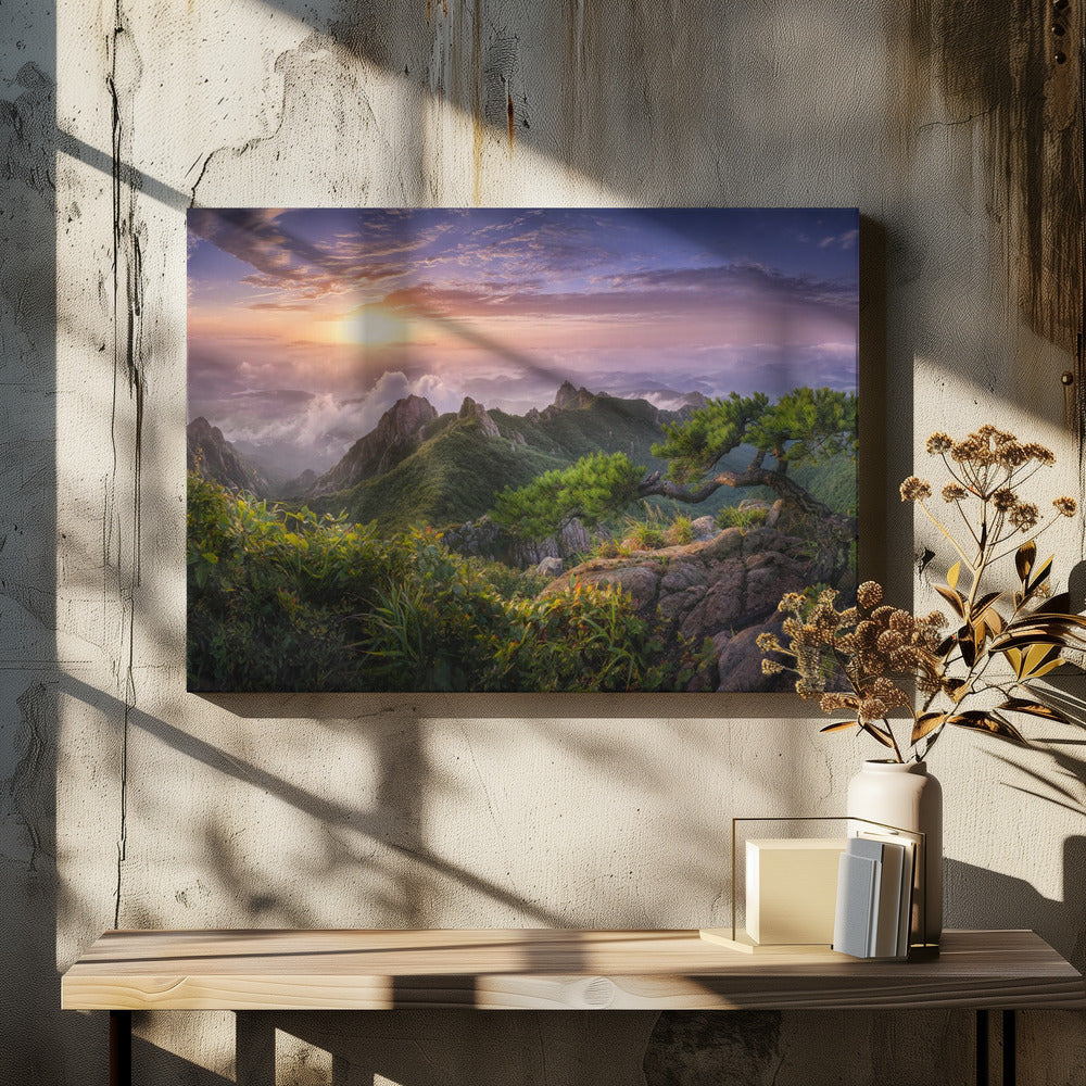 Pijnboom op de rots | Canvas