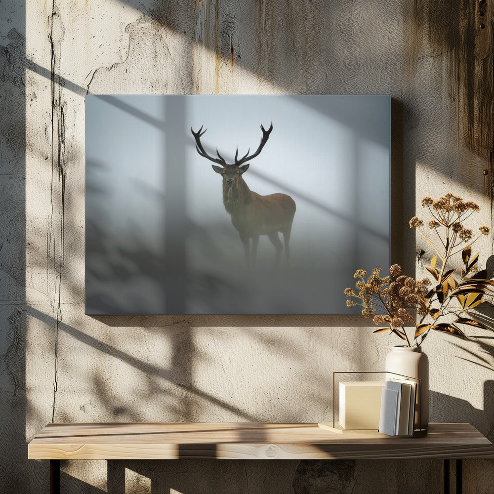 Ephemerality | Canvas