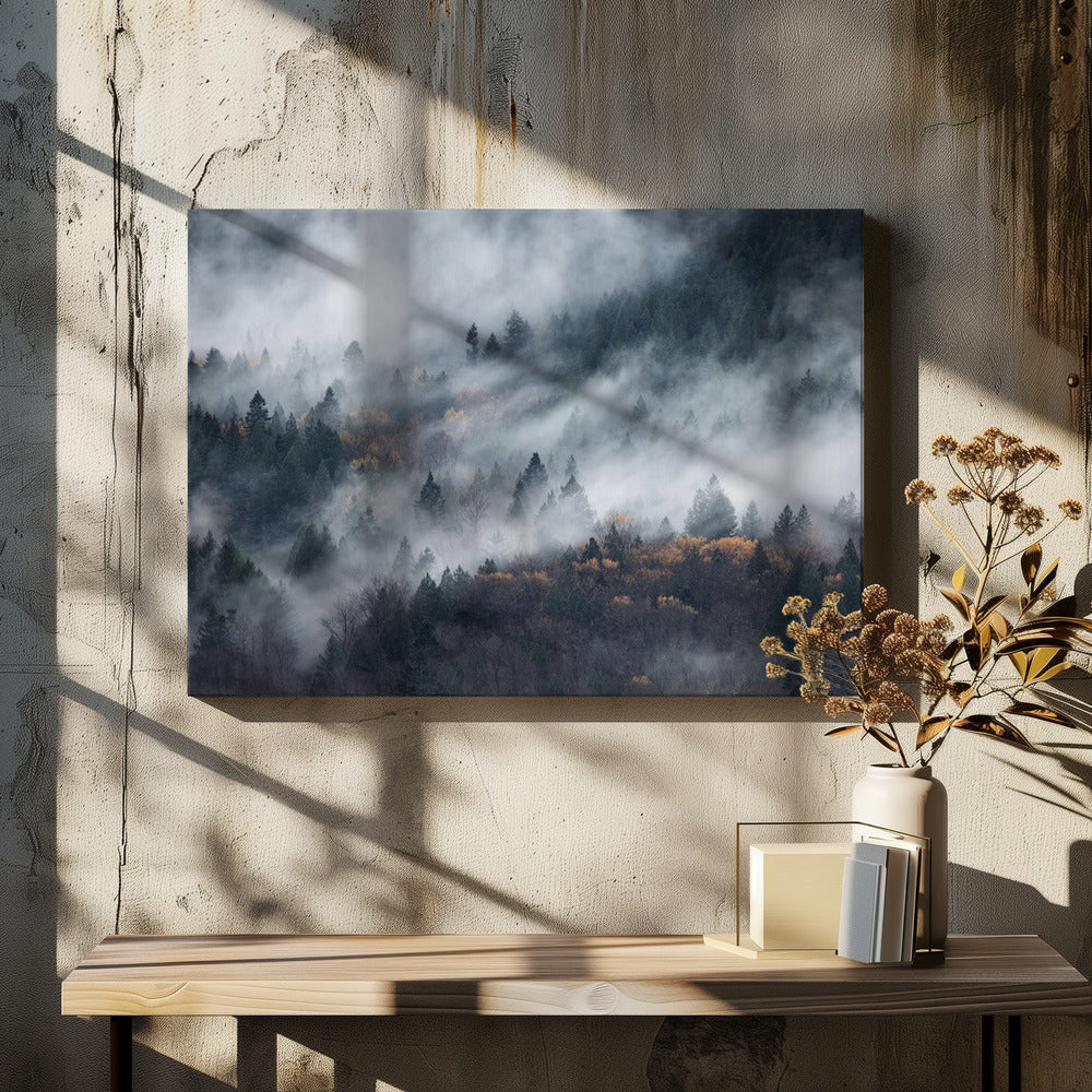 Een pad van de mist | Canvas