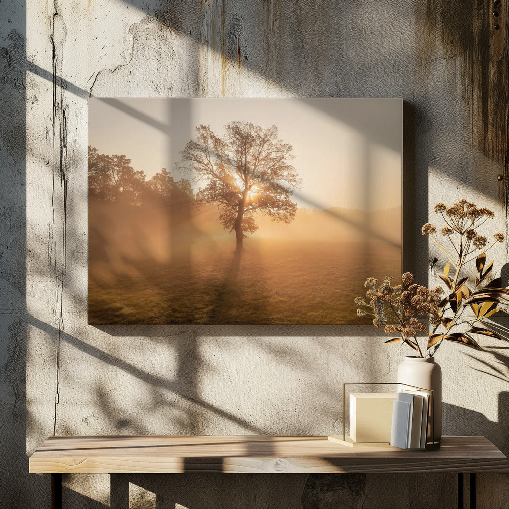 Eenzame boom | Canvas
