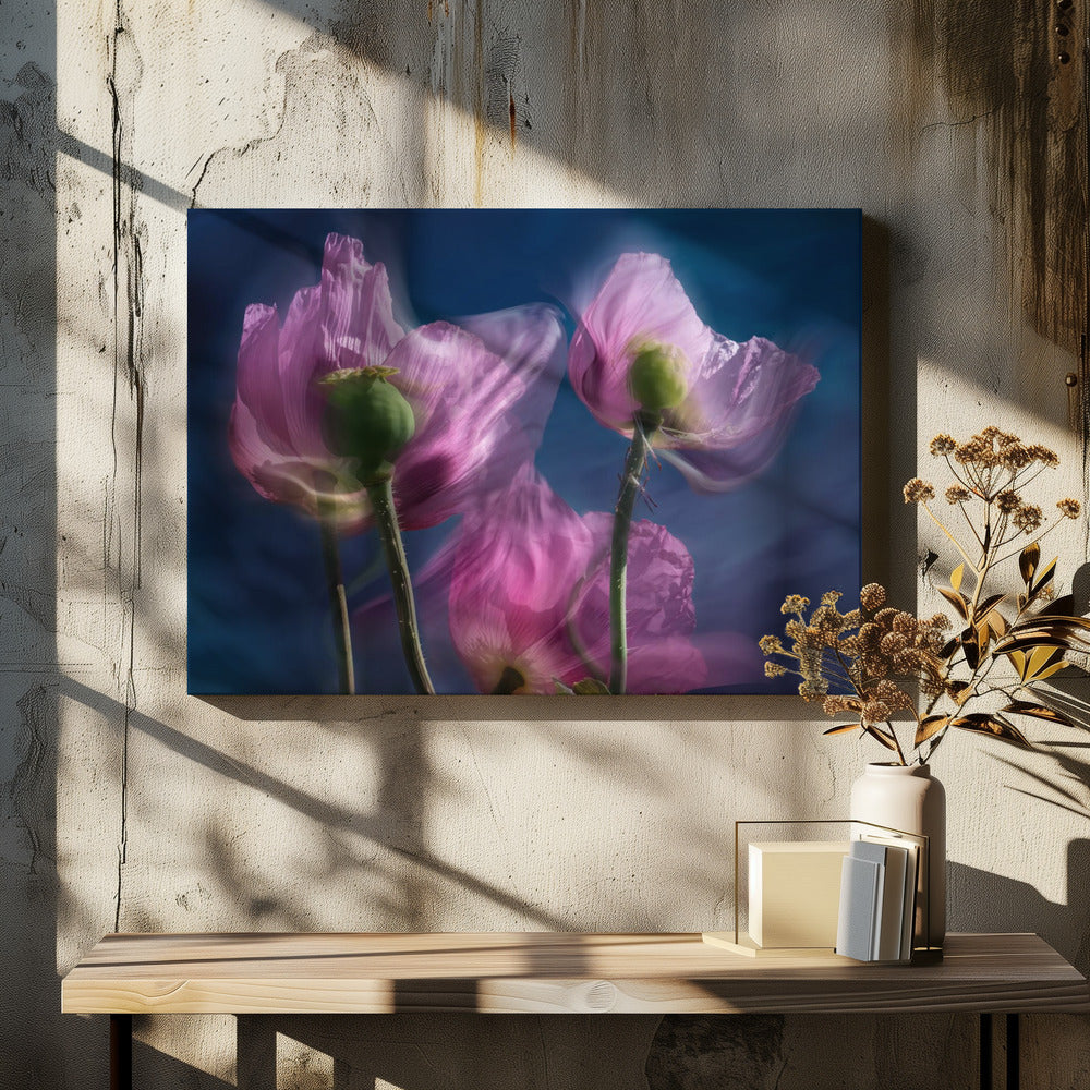 Poppies by the wayside | Canvas