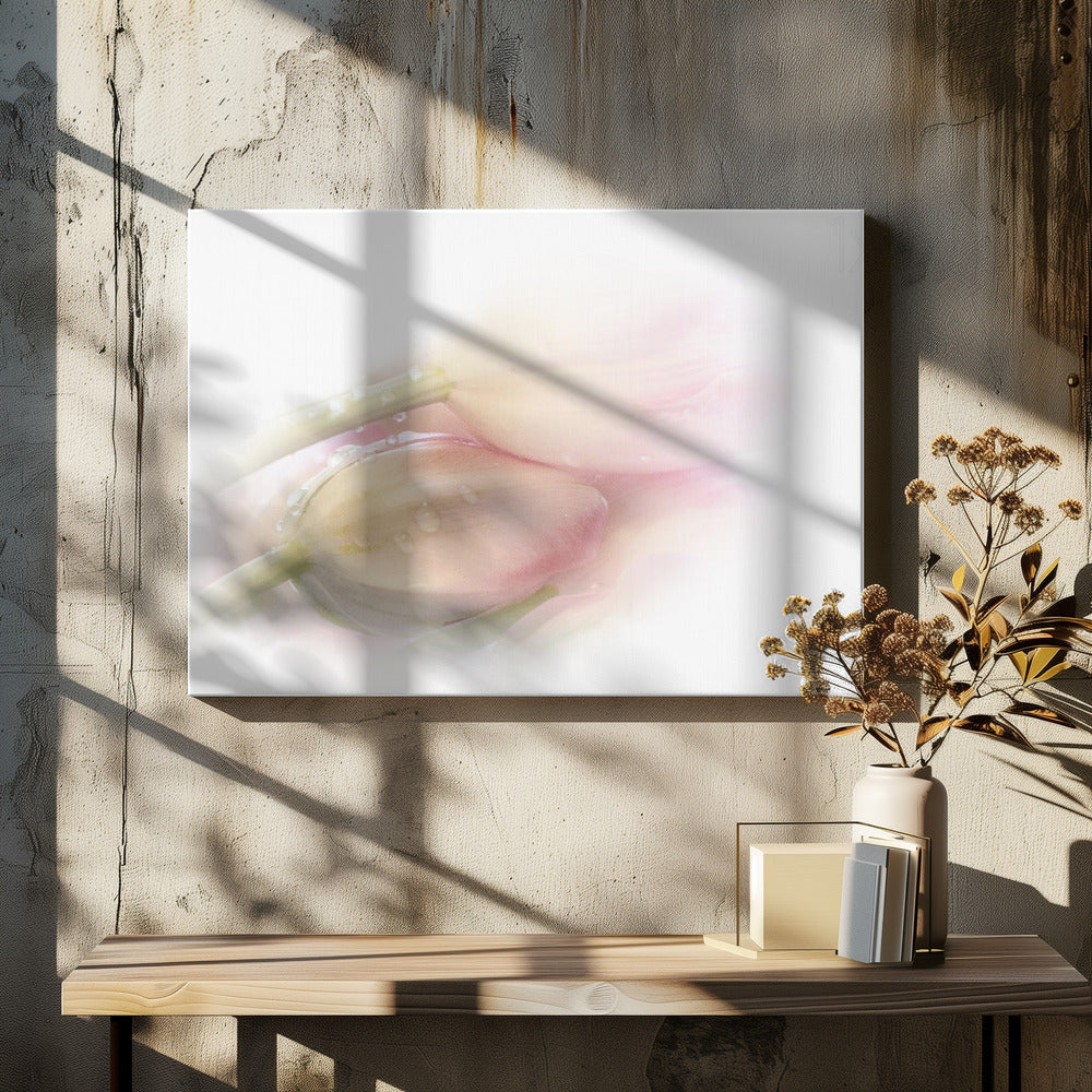 Aanraken | Canvas