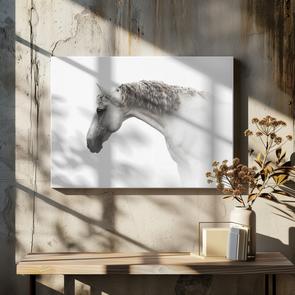 Krullend haar… | Canvas