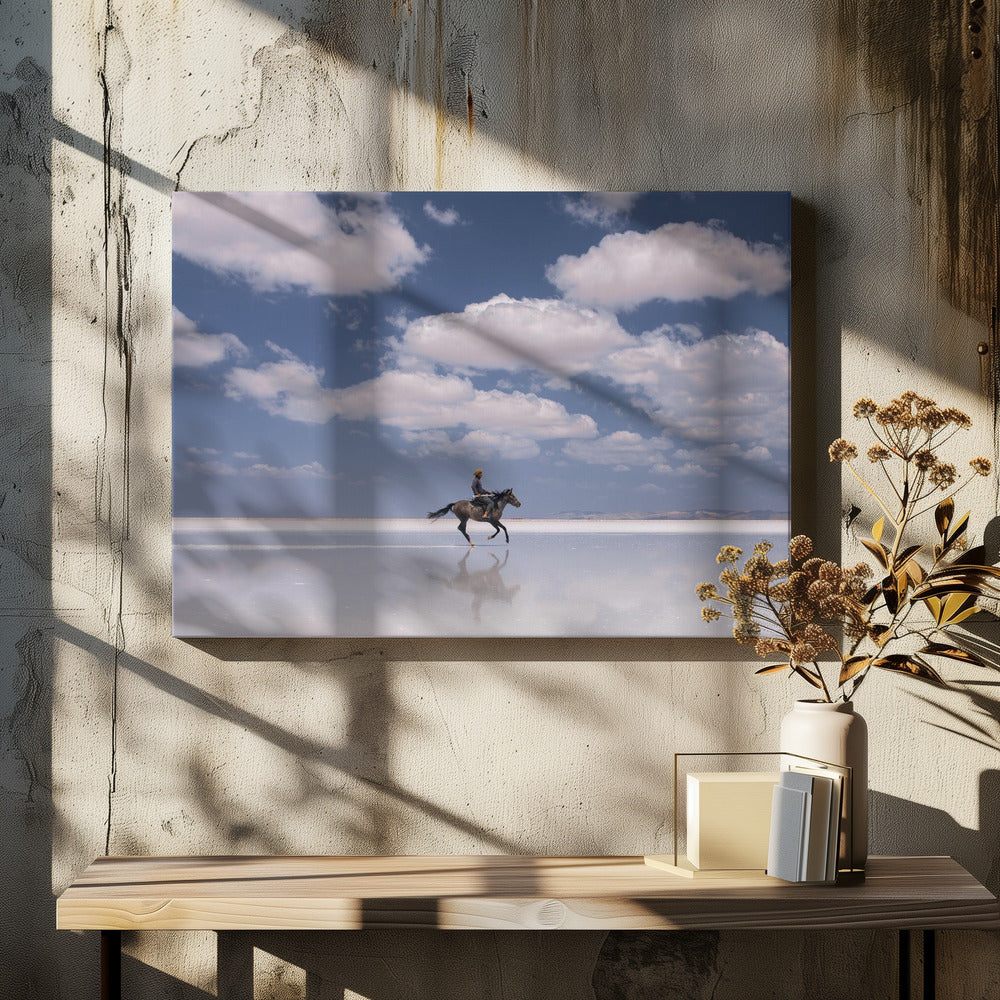 Zoute Ruiter | Canvas