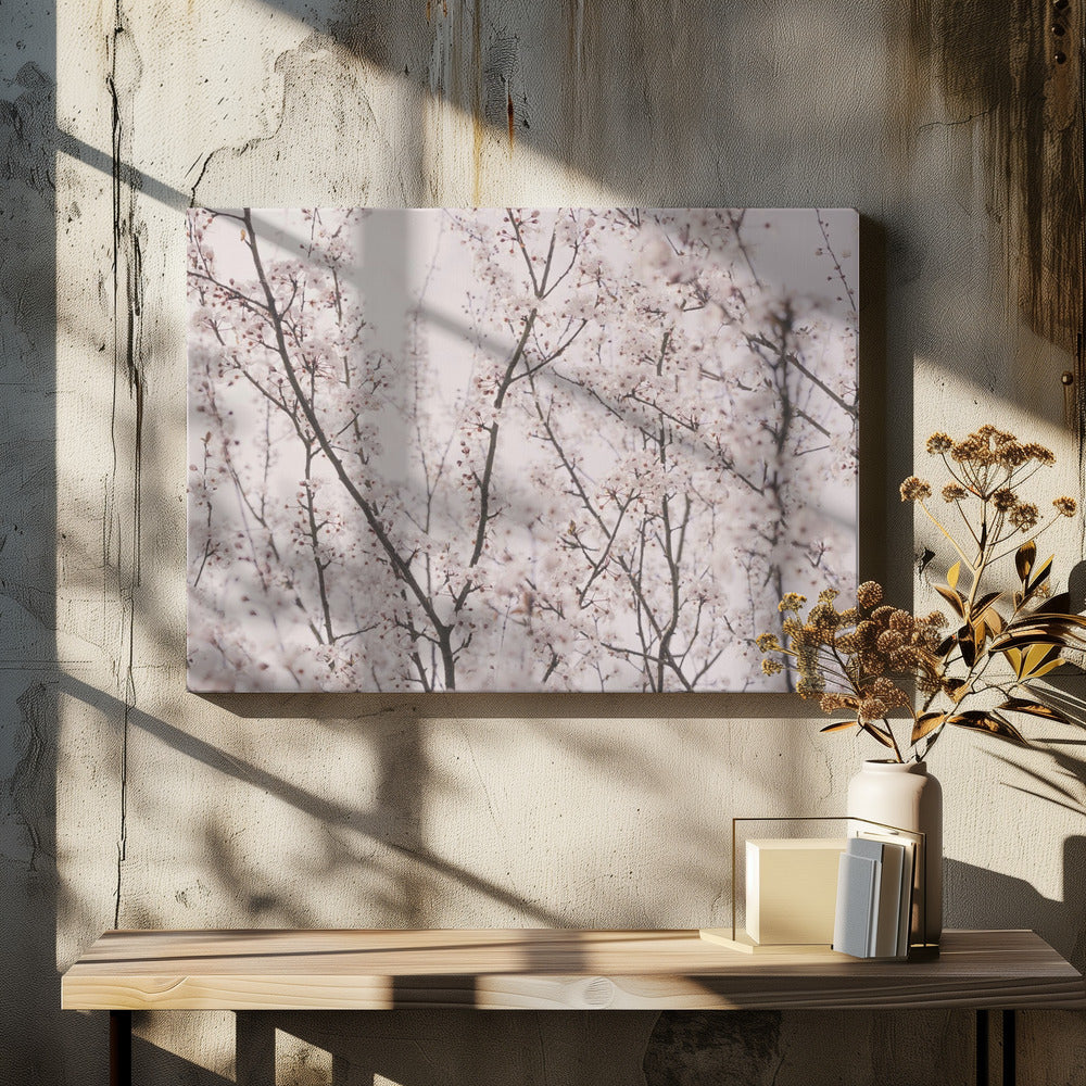 Lentebloesems | Canvas