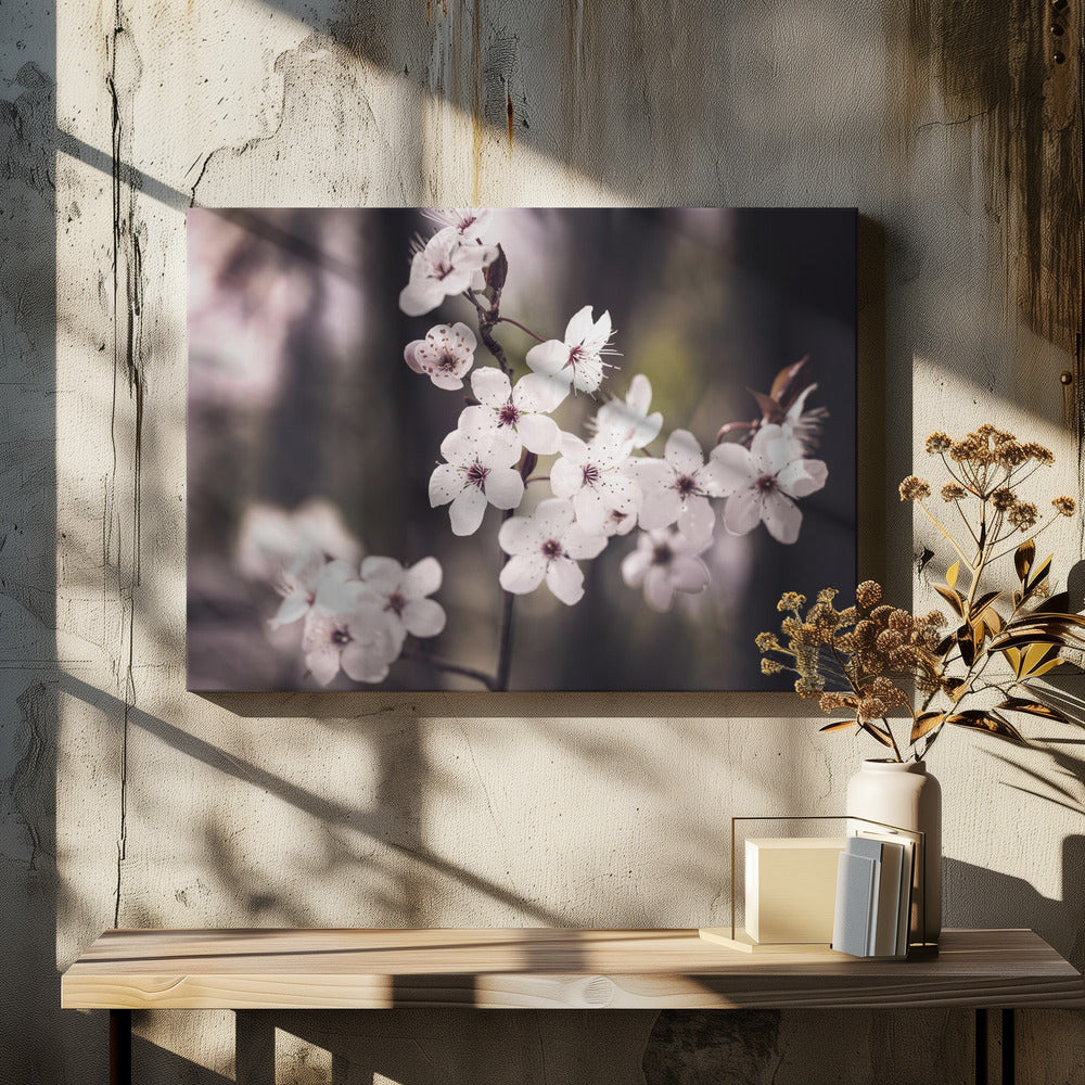 Bloesems | Canvas