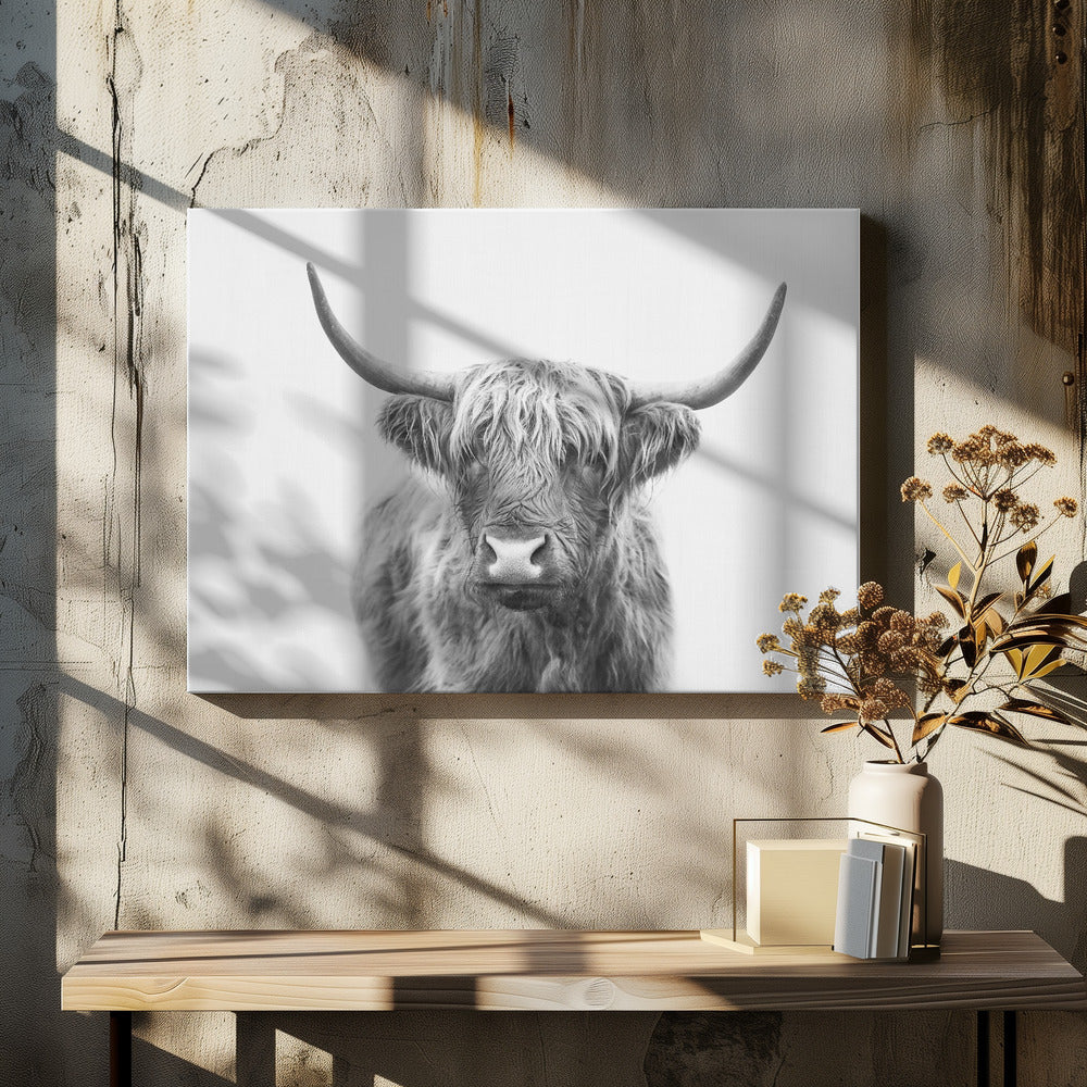 Hooglander | Canvas