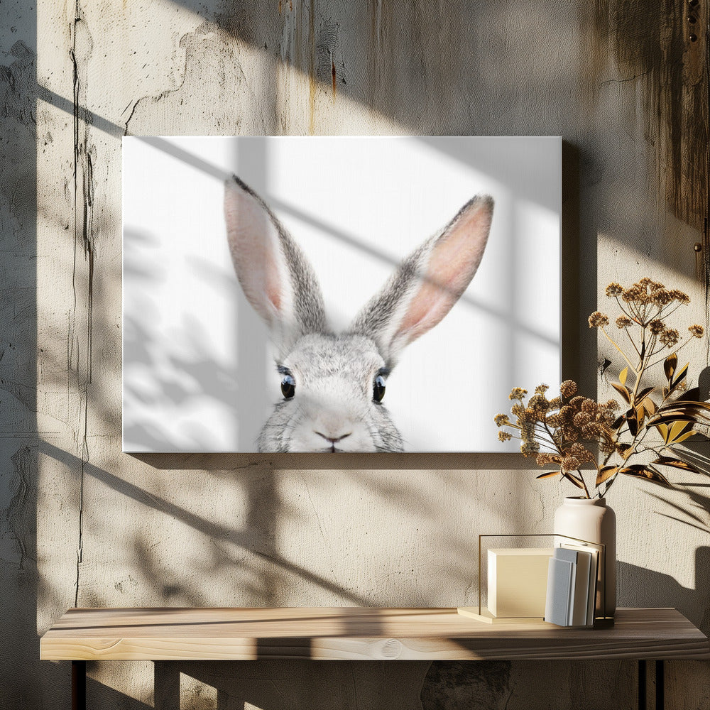 Glurend Konijntje | Canvas