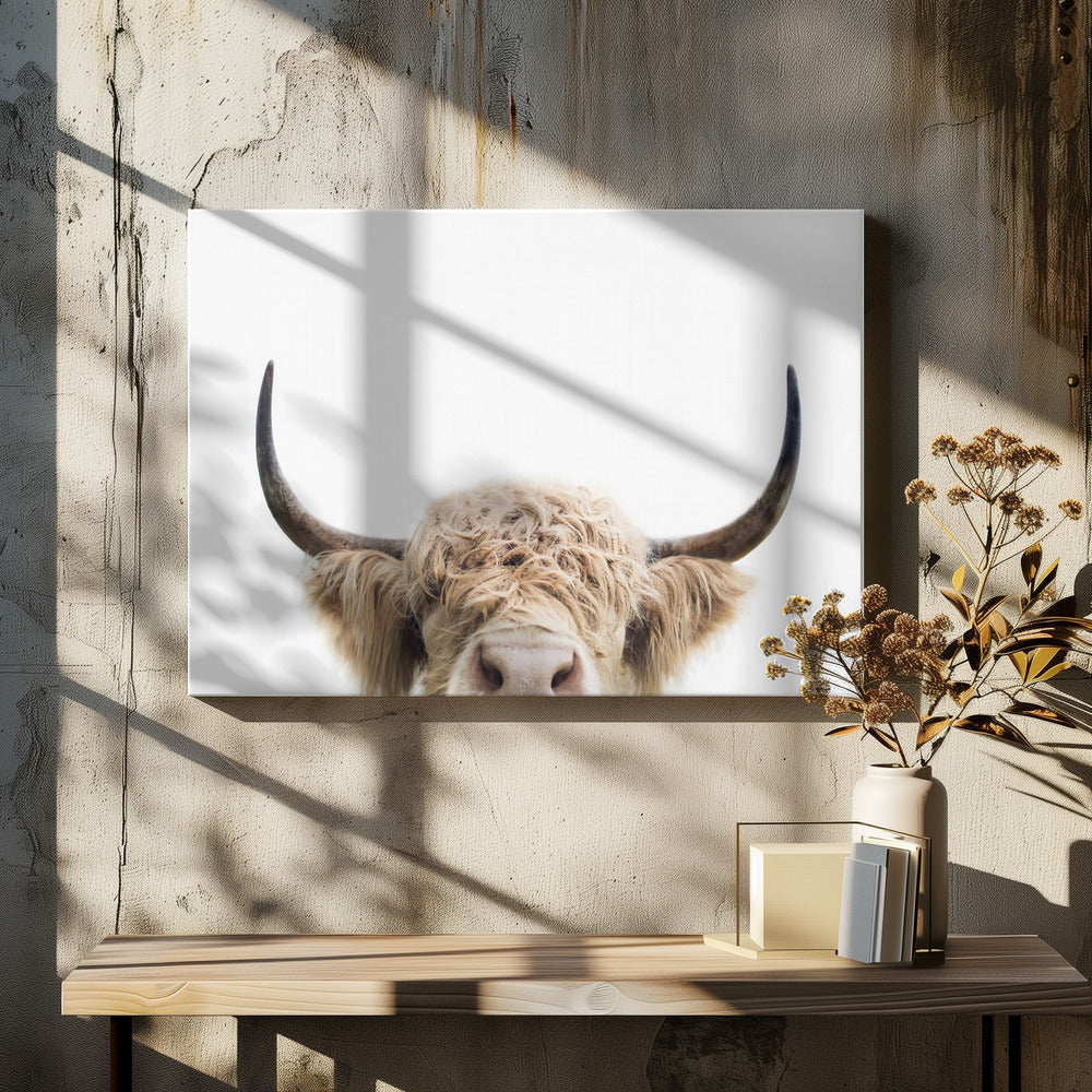 Glurende koe | Canvas
