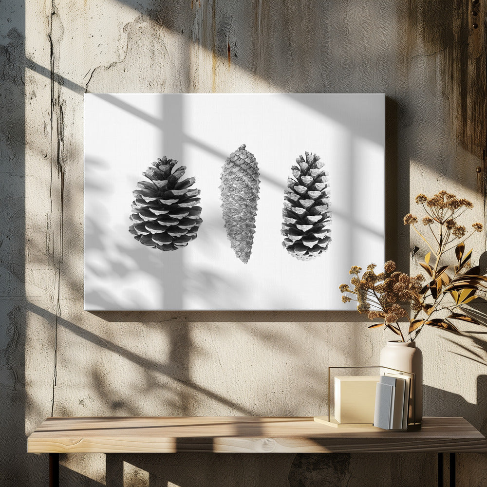 Dennenappelstudie | Canvas