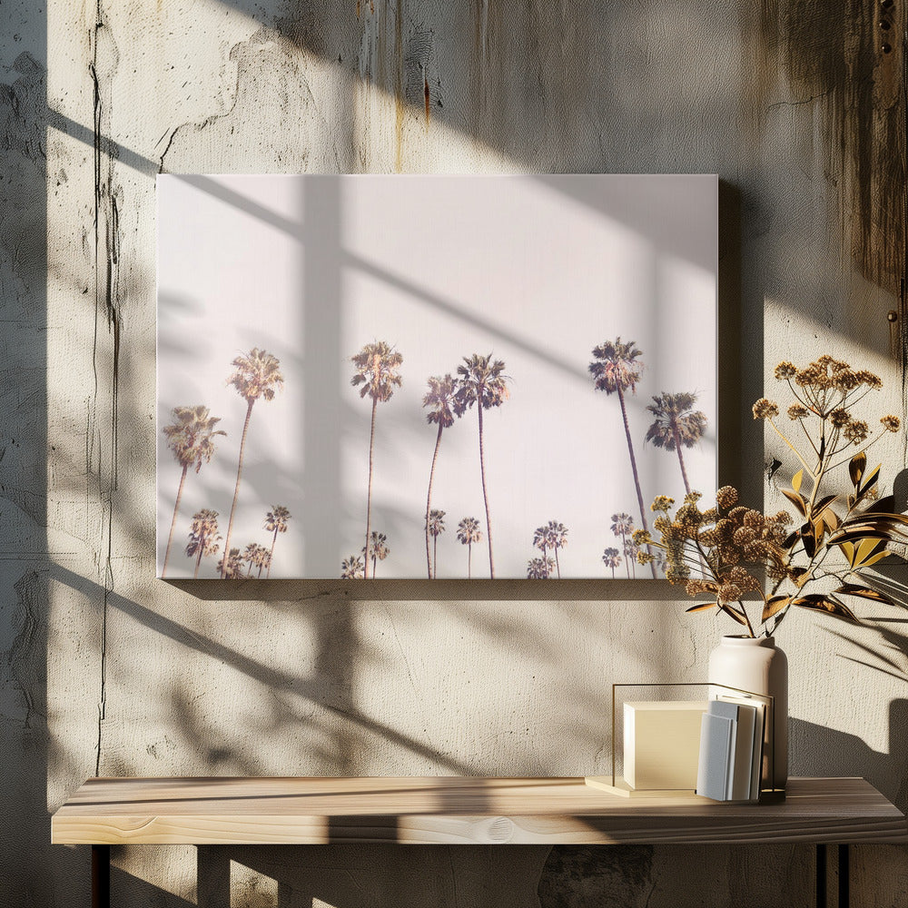 Zonnige Californische palmbomen | Canvas