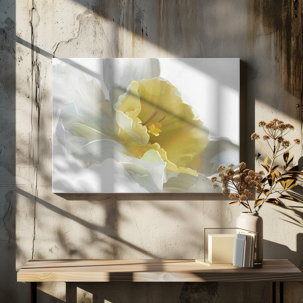 Narcis | Canvas