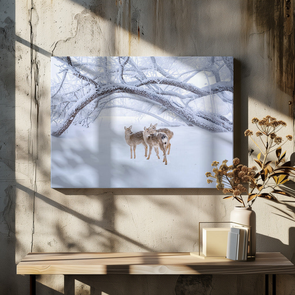Hertenwandeling in de sneeuw | Canvas