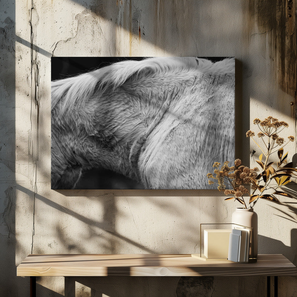 Paard II | Canvas
