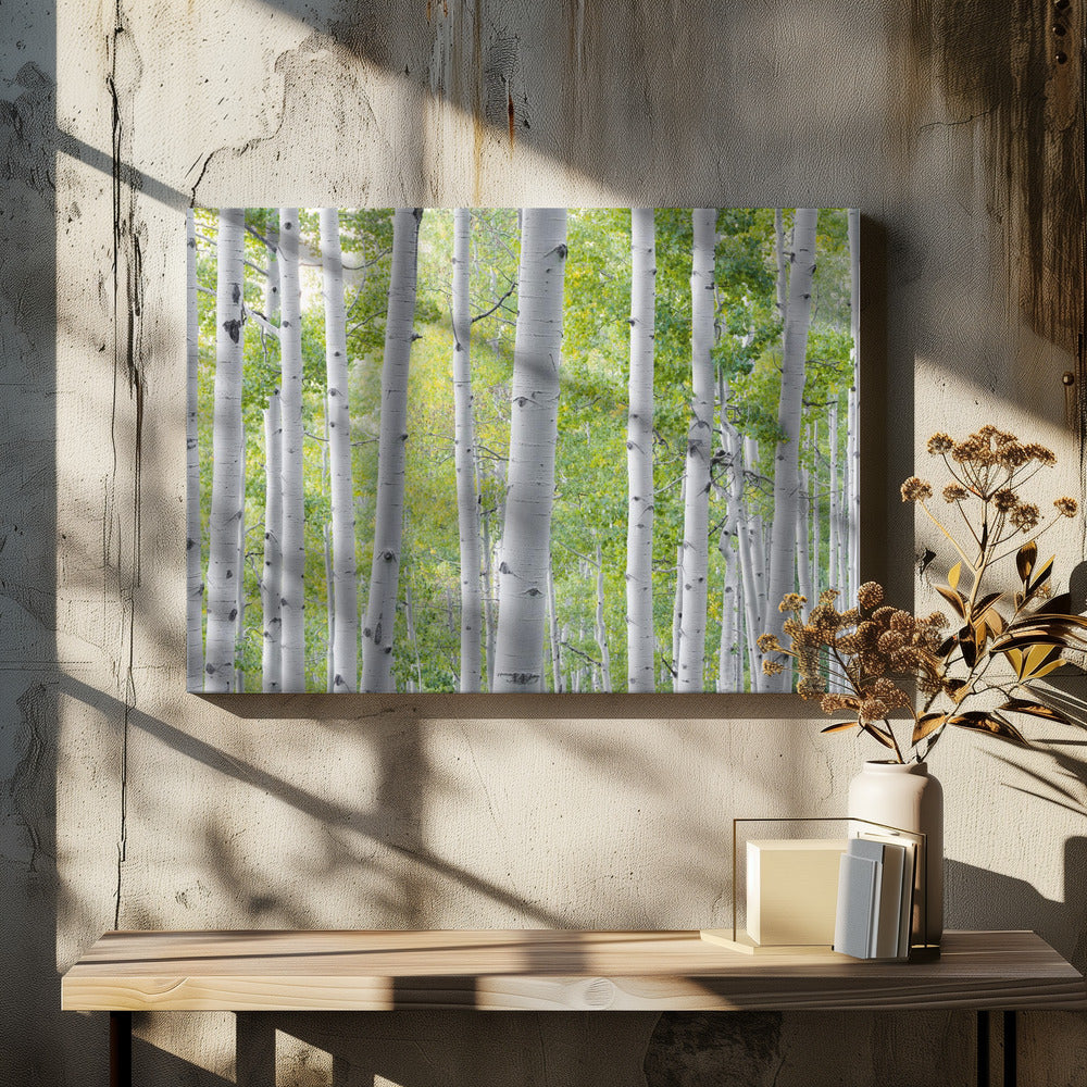 Berkenbos | Canvas