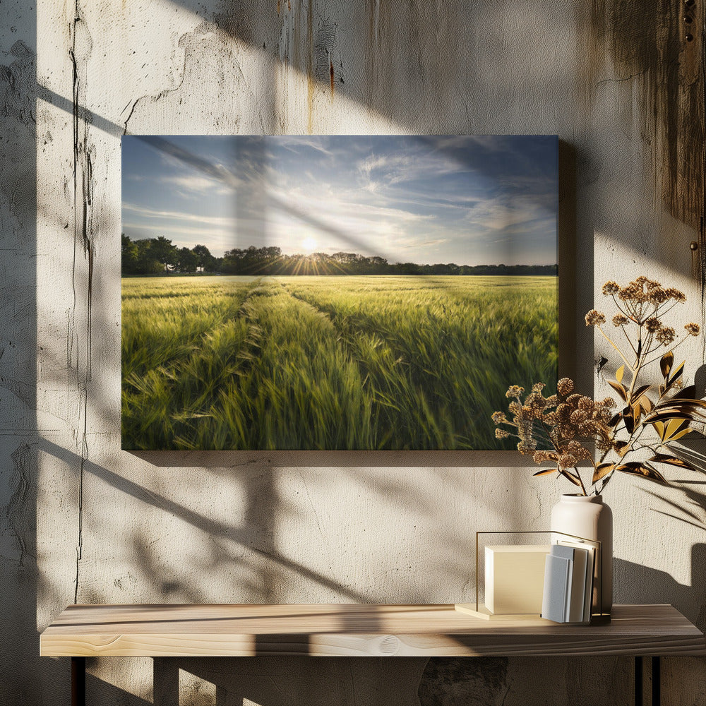 Gerstweide | Canvas