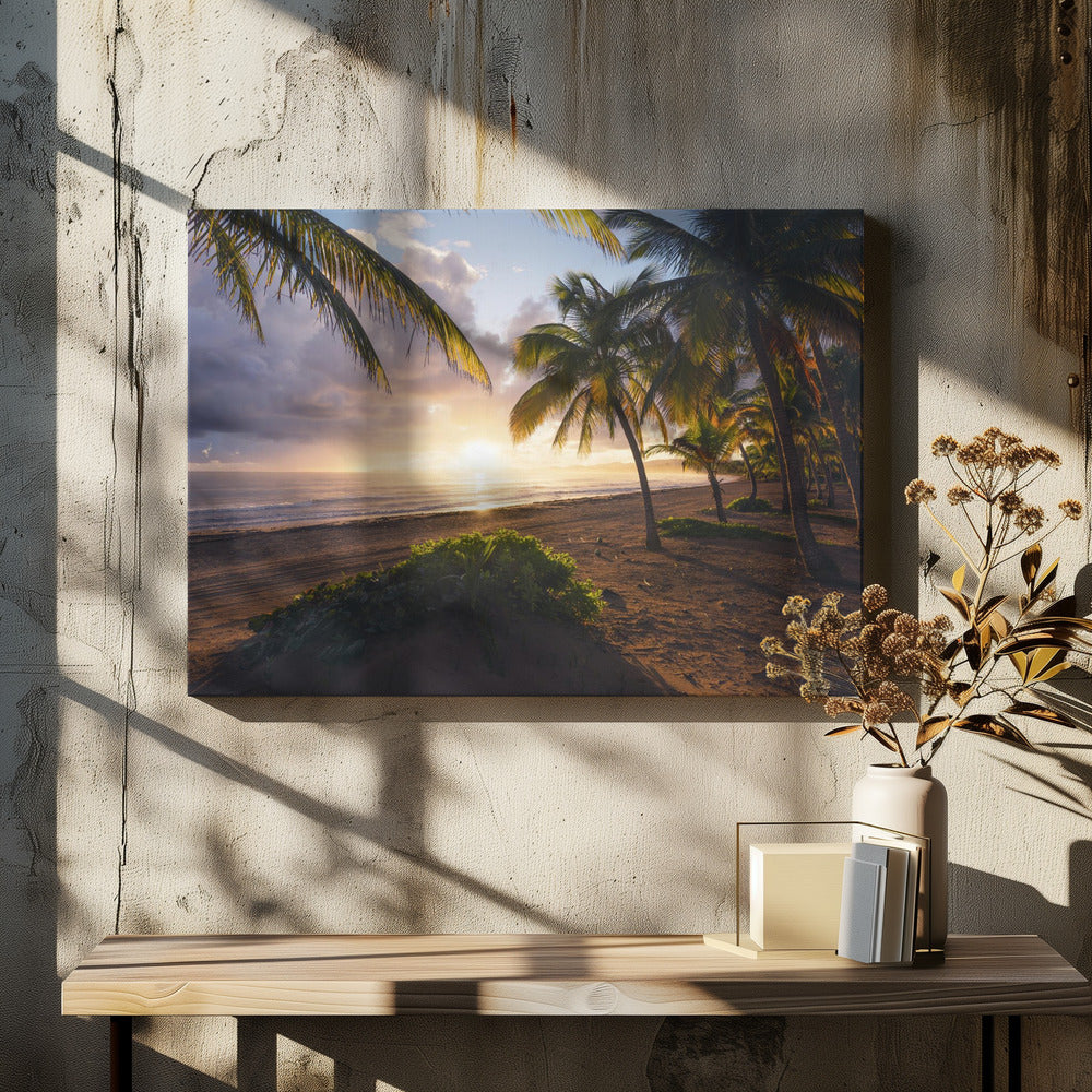Goedemorgen Paradijs | Canvas