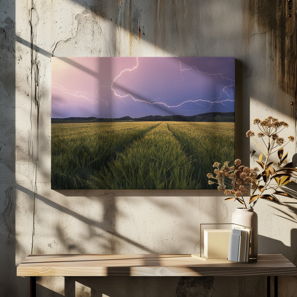 Bliksem | Canvas