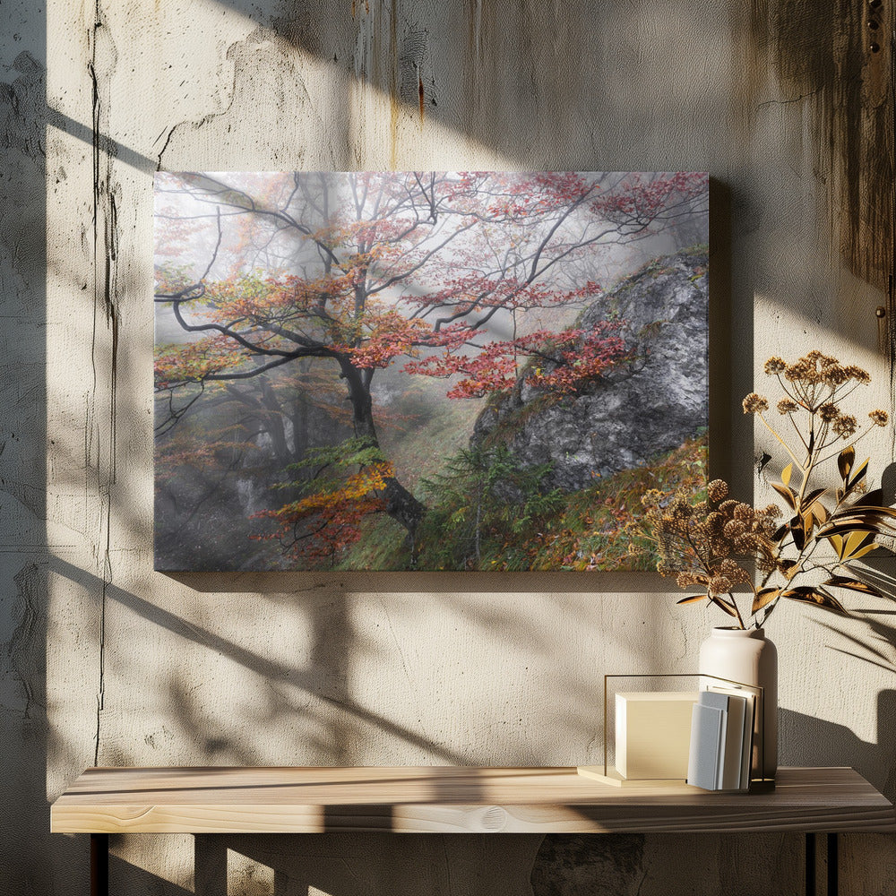 Mistige bossen | Canvas