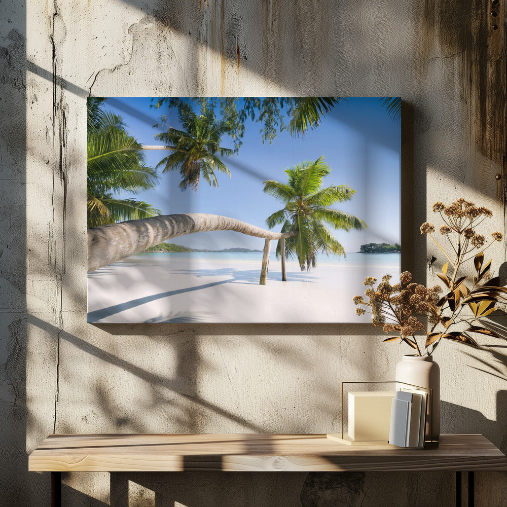 Tropical Palm | Canvas
